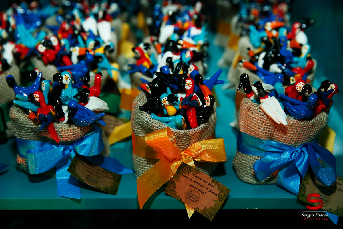 fotografo-fotografia-fotos-cuiaba-sergio-soares-mt-mato-grosso-brasil-aniversario-infantil-rafinha