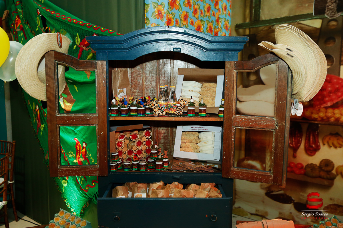 fotografo-fotografia-fotos-cuiaba-sergio-soares-mt-mato-grosso-brasil-aniversario-infantil-rafinha