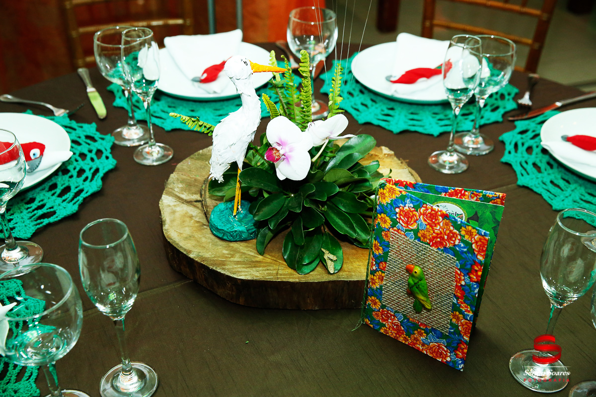 fotografo-fotografia-fotos-cuiaba-sergio-soares-mt-mato-grosso-brasil-aniversario-infantil-rafinha