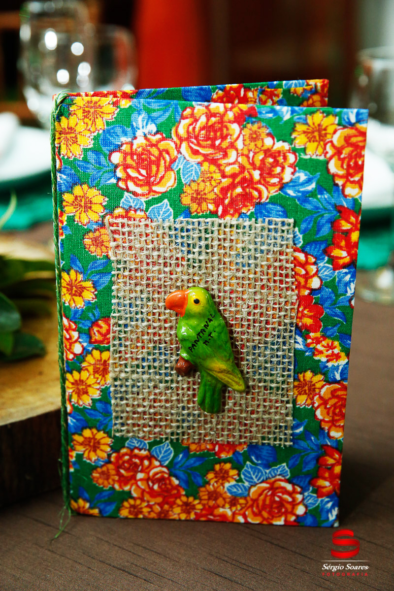 fotografo-fotografia-fotos-cuiaba-sergio-soares-mt-mato-grosso-brasil-aniversario-infantil-rafinha