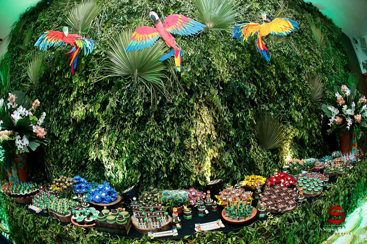 fotografo-fotografia-fotos-cuiaba-sergio-soares-mt-mato-grosso-brasil-aniversario-infantil-rafinha