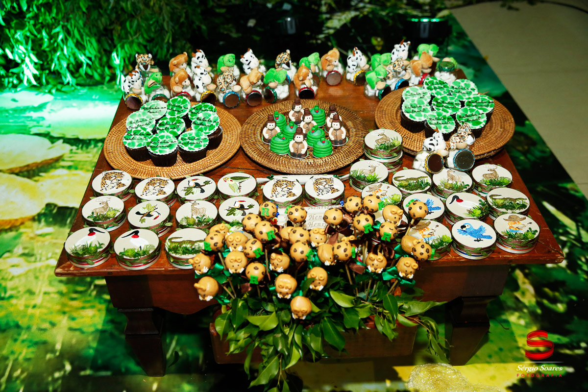 fotografo-fotografia-fotos-cuiaba-sergio-soares-mt-mato-grosso-brasil-aniversario-infantil-rafinha