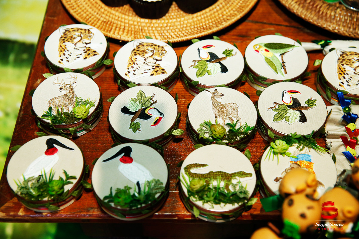 fotografo-fotografia-fotos-cuiaba-sergio-soares-mt-mato-grosso-brasil-aniversario-infantil-rafinha