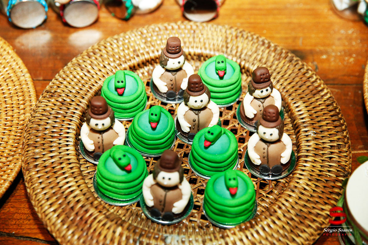 fotografo-fotografia-fotos-cuiaba-sergio-soares-mt-mato-grosso-brasil-aniversario-infantil-rafinha