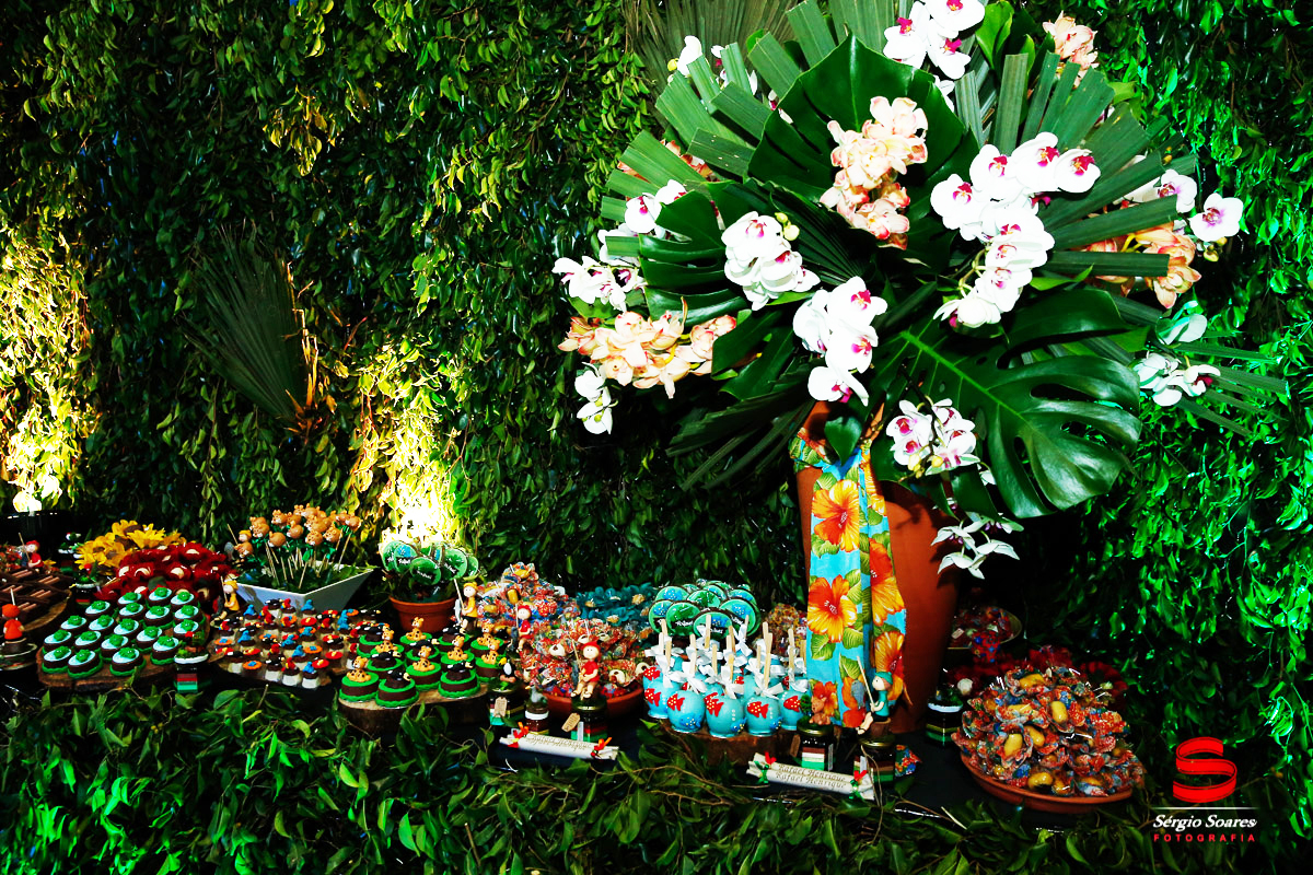 fotografo-fotografia-fotos-cuiaba-sergio-soares-mt-mato-grosso-brasil-aniversario-infantil-rafinha