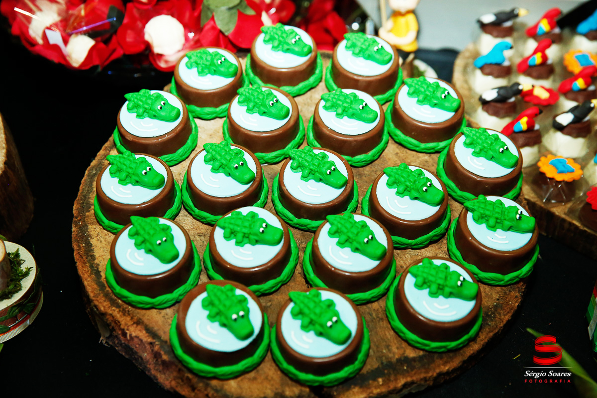 fotografo-fotografia-fotos-cuiaba-sergio-soares-mt-mato-grosso-brasil-aniversario-infantil-rafinha