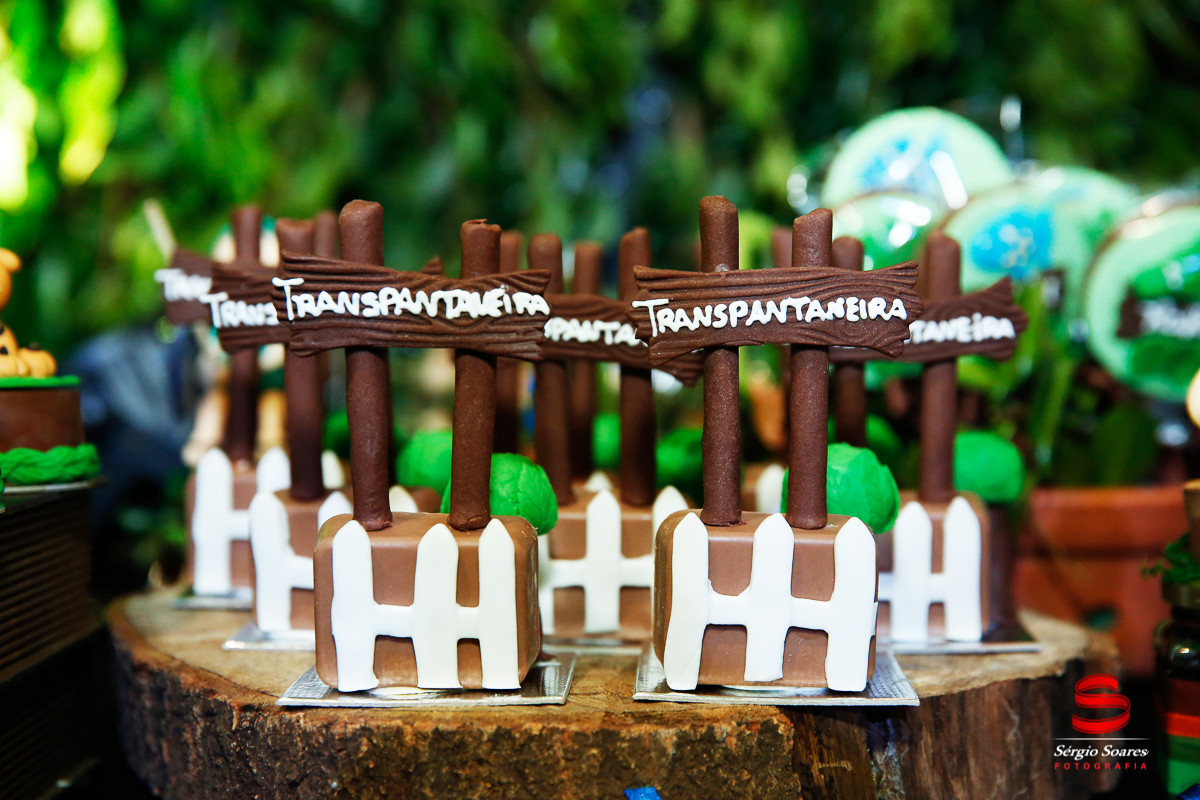 fotografo-fotografia-fotos-cuiaba-sergio-soares-mt-mato-grosso-brasil-aniversario-infantil-rafinha