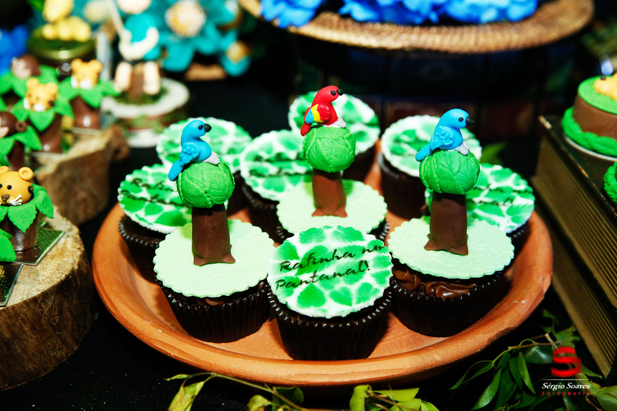 fotografo-fotografia-fotos-cuiaba-sergio-soares-mt-mato-grosso-brasil-aniversario-infantil-rafinha