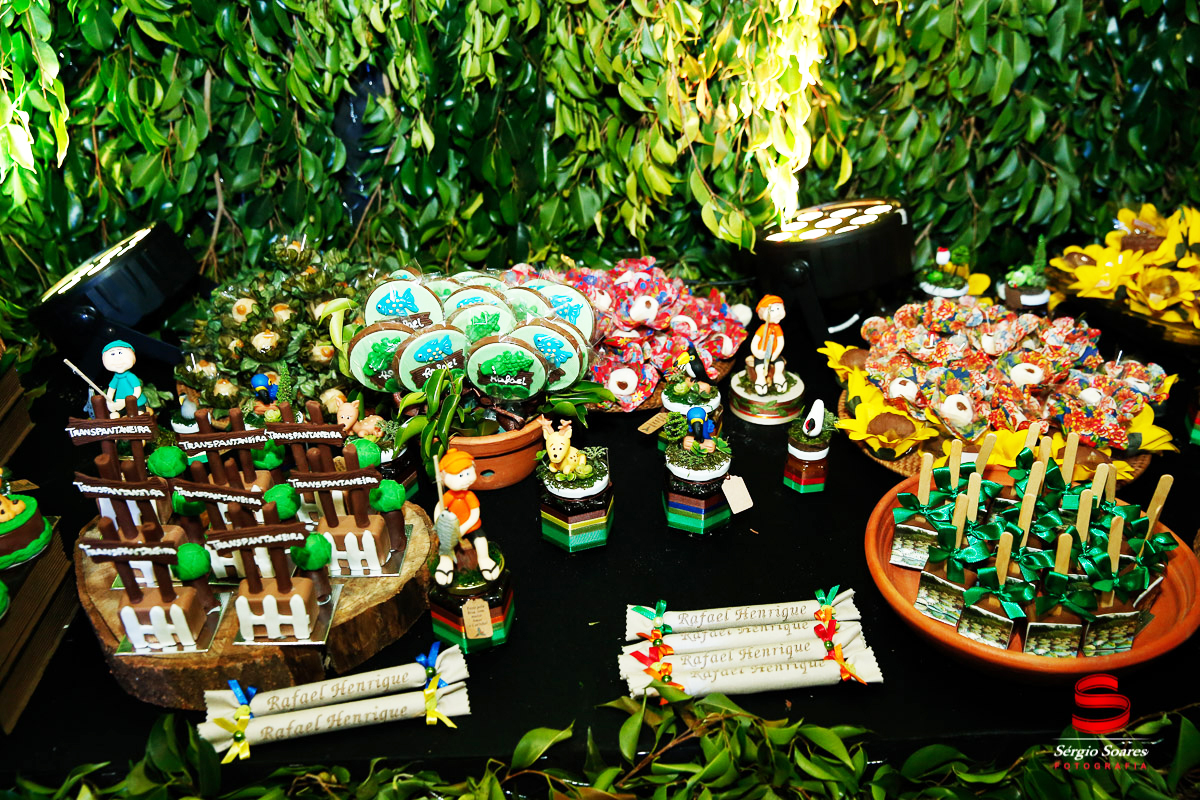 fotografo-fotografia-fotos-cuiaba-sergio-soares-mt-mato-grosso-brasil-aniversario-infantil-rafinha