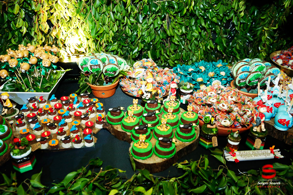 fotografo-fotografia-fotos-cuiaba-sergio-soares-mt-mato-grosso-brasil-aniversario-infantil-rafinha