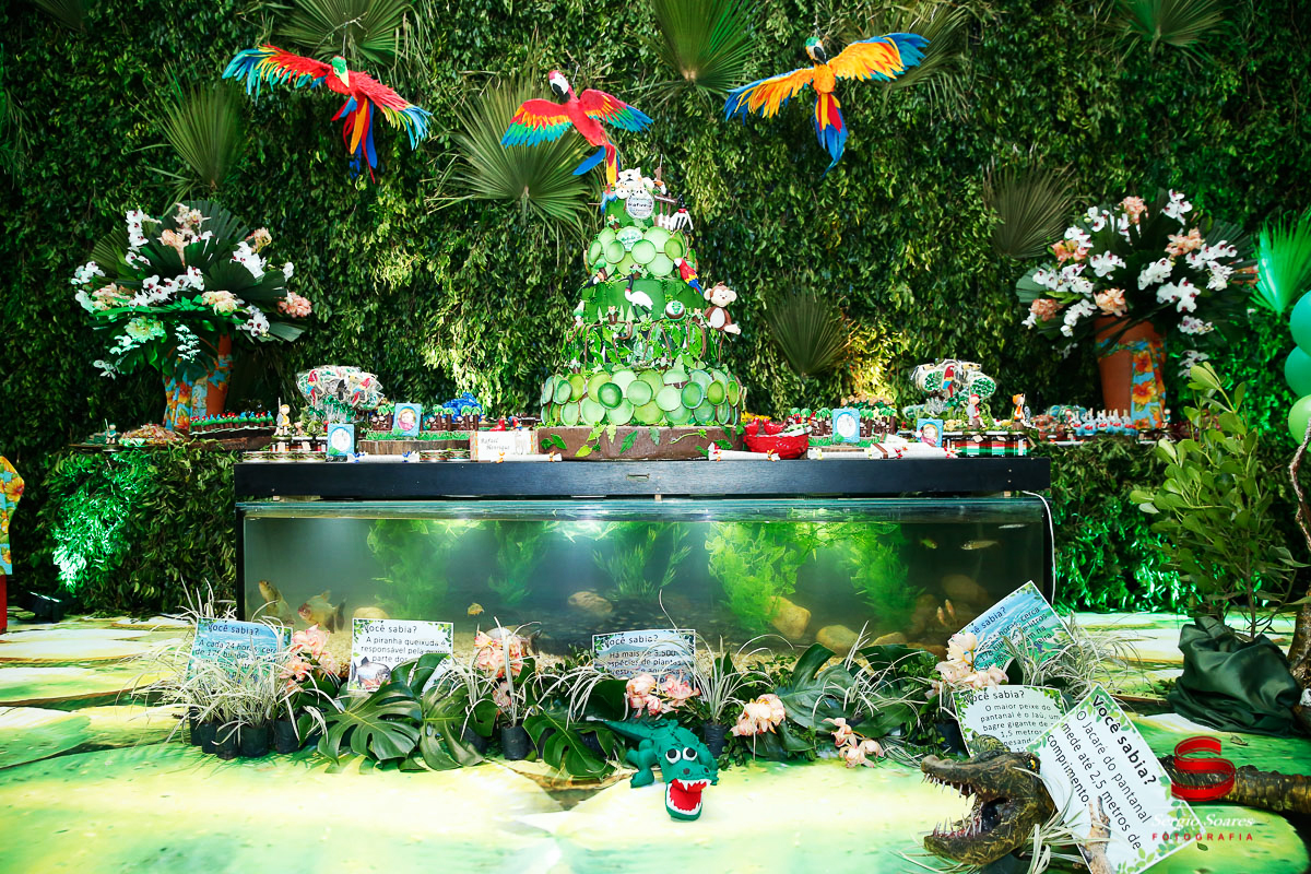 fotografo-fotografia-fotos-cuiaba-sergio-soares-mt-mato-grosso-brasil-aniversario-infantil-rafinha