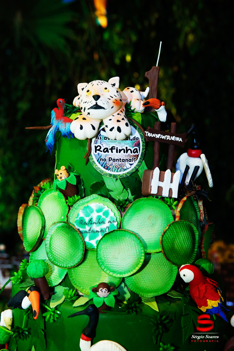 fotografo-fotografia-fotos-cuiaba-sergio-soares-mt-mato-grosso-brasil-aniversario-infantil-rafinha