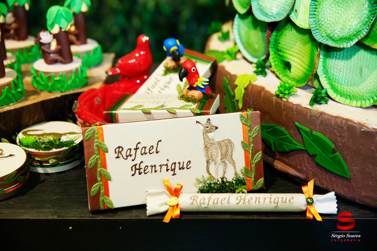 fotografo-fotografia-fotos-cuiaba-sergio-soares-mt-mato-grosso-brasil-aniversario-infantil-rafinha