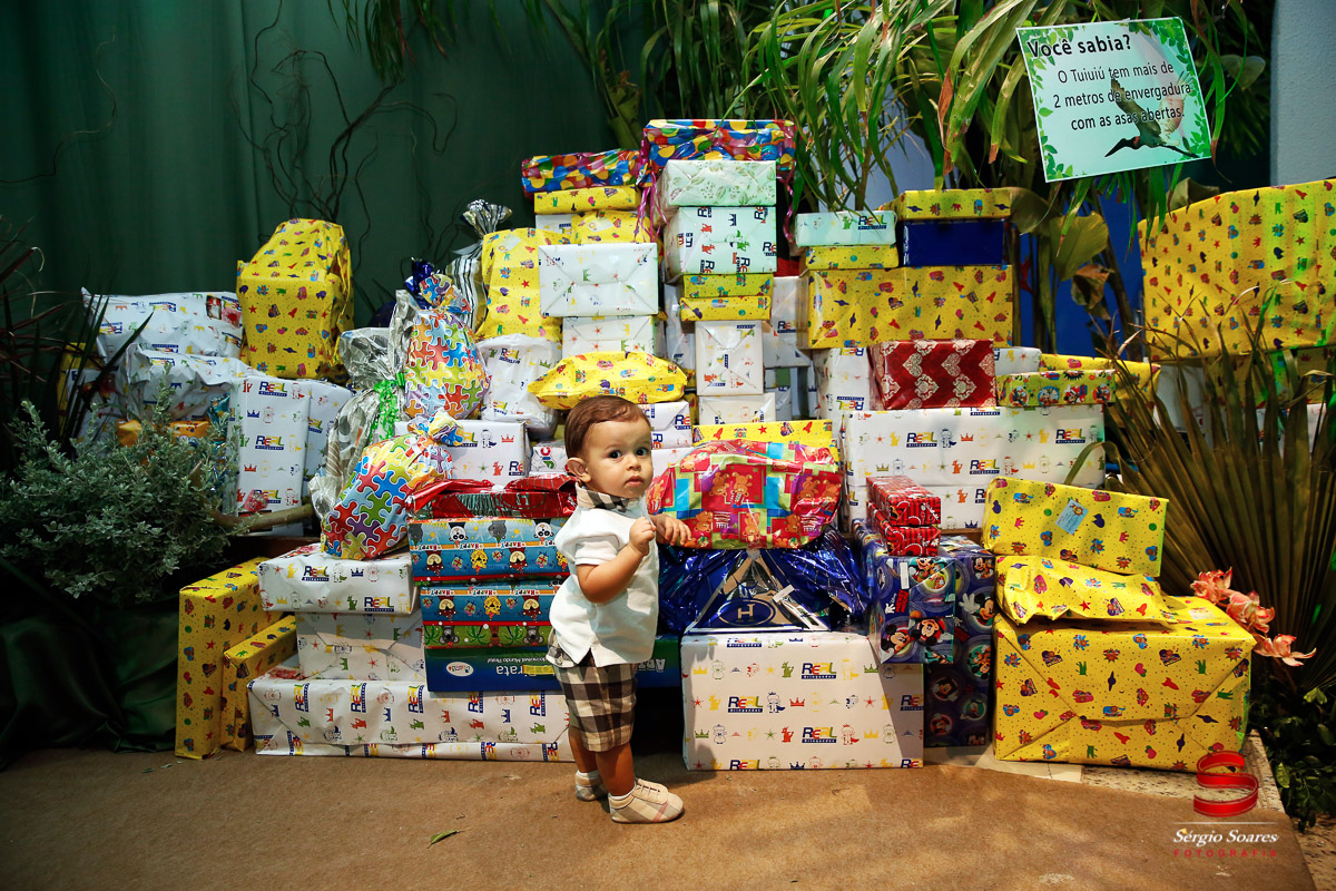 fotografo-fotografia-fotos-cuiaba-sergio-soares-mt-mato-grosso-brasil-aniversario-infantil-rafinha