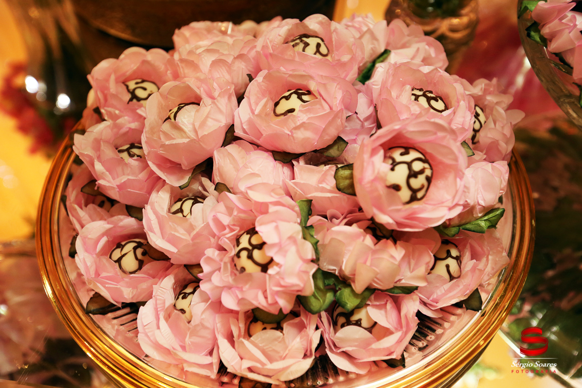 fotografo-fotografia-fotos-cuiaba-sergio-soares-mt-mato-grosso-brasil-15-anos-luiza-maria