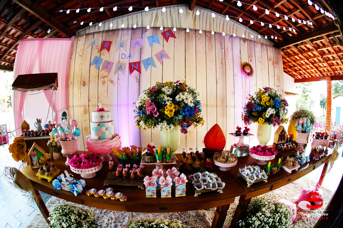 fotografo-fotografia-fotos-cuiaba-sergio-soares-mt-mato-grosso-brasil-aniversario-niver-bianca-infantil