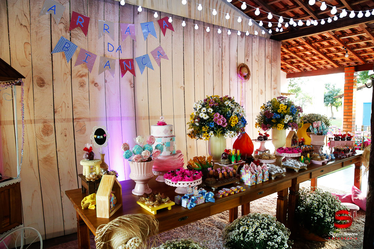 fotografo-fotografia-fotos-cuiaba-sergio-soares-mt-mato-grosso-brasil-aniversario-niver-bianca-infantil