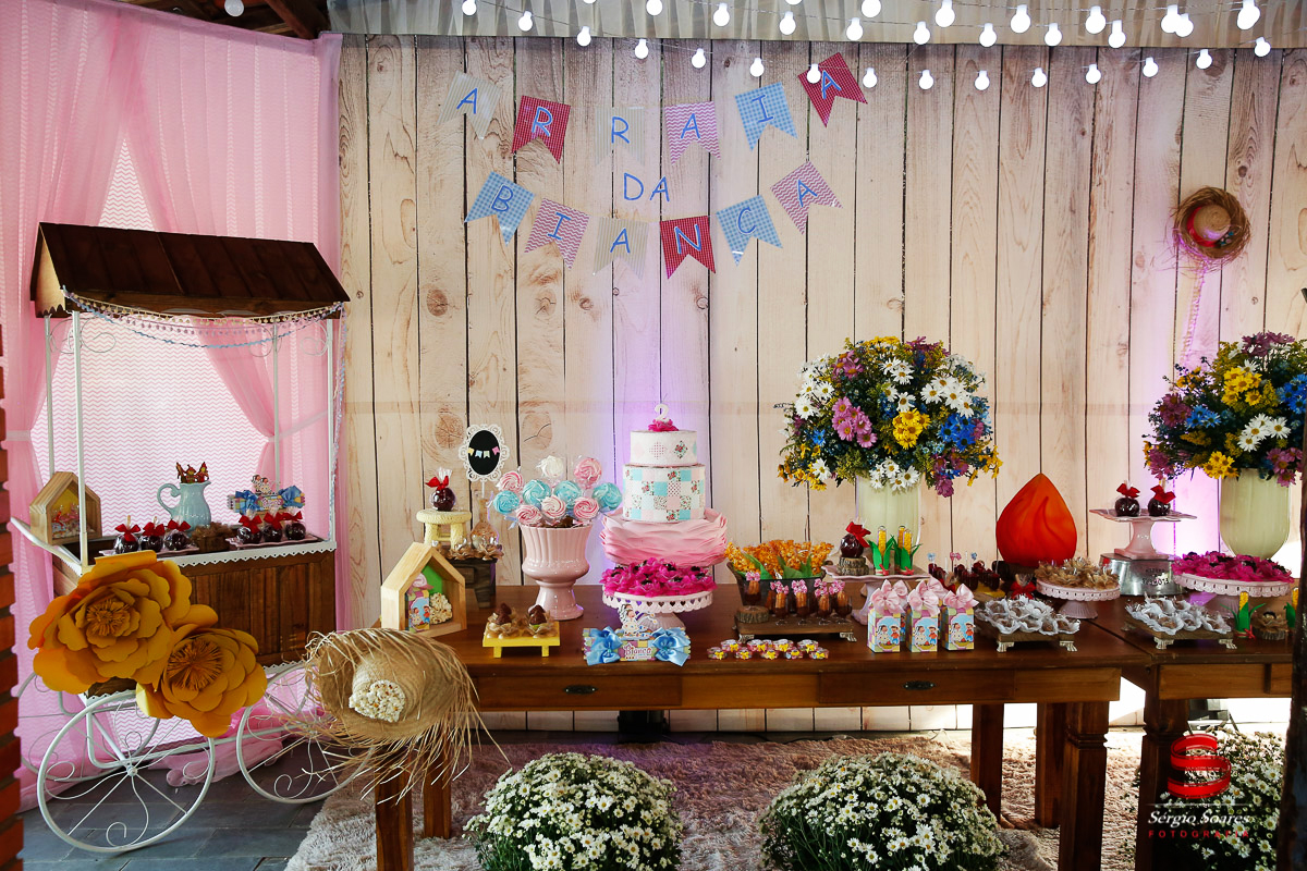 fotografo-fotografia-fotos-cuiaba-sergio-soares-mt-mato-grosso-brasil-aniversario-niver-bianca-infantil