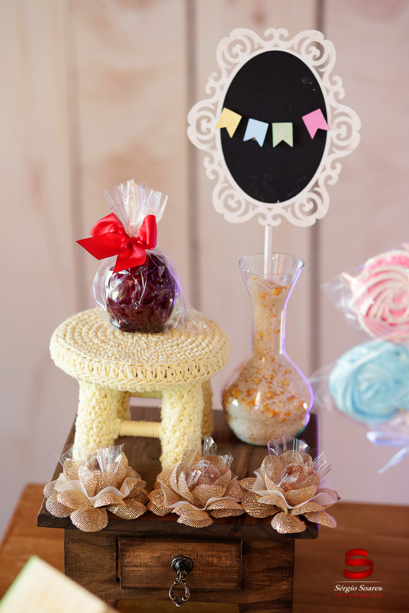 fotografo-fotografia-fotos-cuiaba-sergio-soares-mt-mato-grosso-brasil-aniversario-niver-bianca-infantil