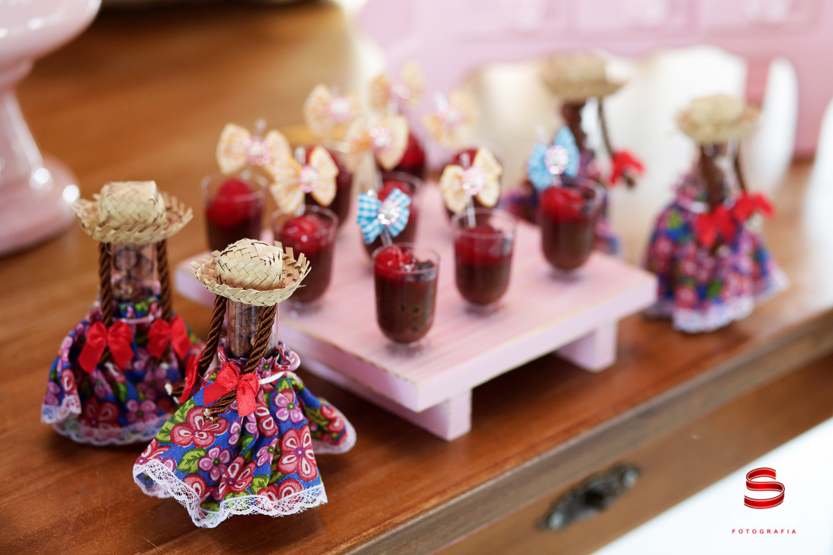 fotografo-fotografia-fotos-cuiaba-sergio-soares-mt-mato-grosso-brasil-aniversario-niver-bianca-infantil