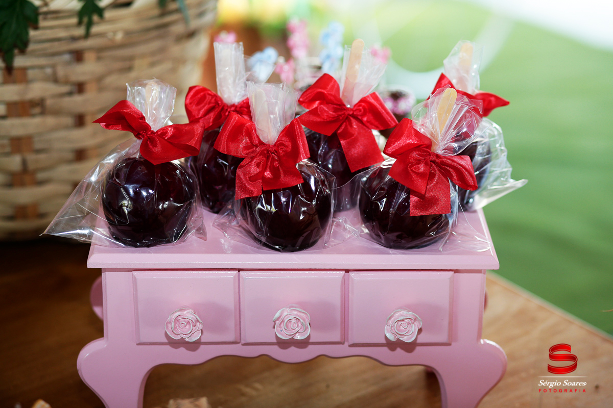 fotografo-fotografia-fotos-cuiaba-sergio-soares-mt-mato-grosso-brasil-aniversario-niver-bianca-infantil