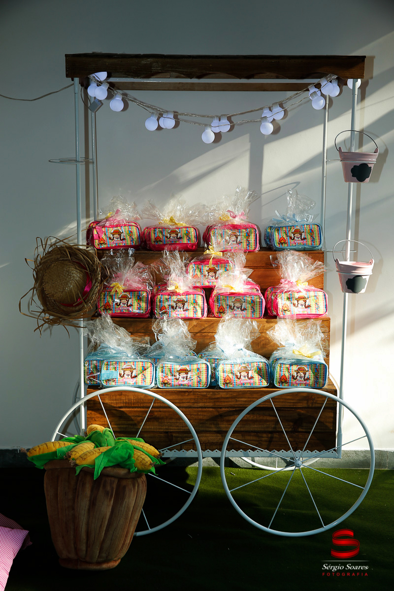 fotografo-fotografia-fotos-cuiaba-sergio-soares-mt-mato-grosso-brasil-aniversario-niver-bianca-infantil