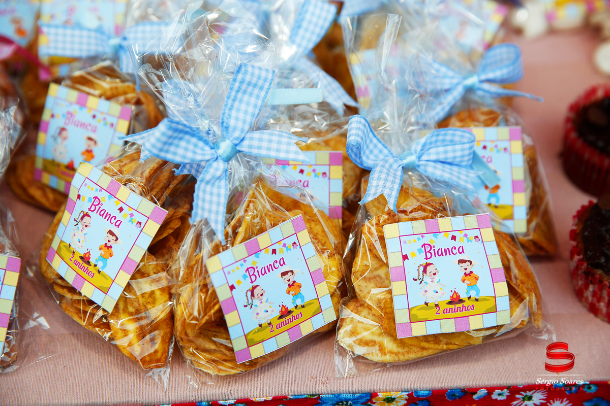 fotografo-fotografia-fotos-cuiaba-sergio-soares-mt-mato-grosso-brasil-aniversario-niver-bianca-infantil