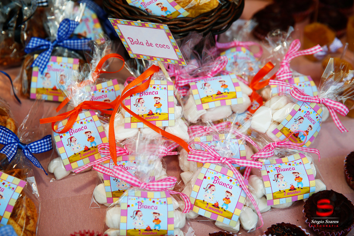 fotografo-fotografia-fotos-cuiaba-sergio-soares-mt-mato-grosso-brasil-aniversario-niver-bianca-infantil