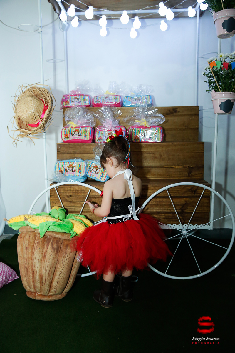 fotografo-fotografia-fotos-cuiaba-sergio-soares-mt-mato-grosso-brasil-aniversario-niver-bianca-infantil