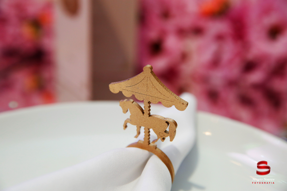 fotografo-fotografia-fotos-cuiaba-sergio-soares-mt-mato-grosso-brasil-aniversario-helena