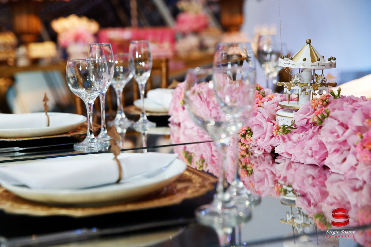 fotografo-fotografia-fotos-cuiaba-sergio-soares-mt-mato-grosso-brasil-aniversario-helena