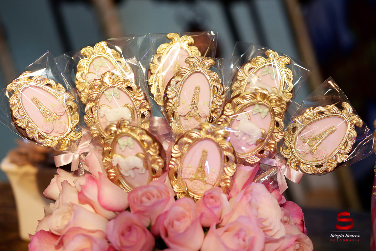 fotografo-fotografia-fotos-cuiaba-sergio-soares-mt-mato-grosso-brasil-aniversario-helena