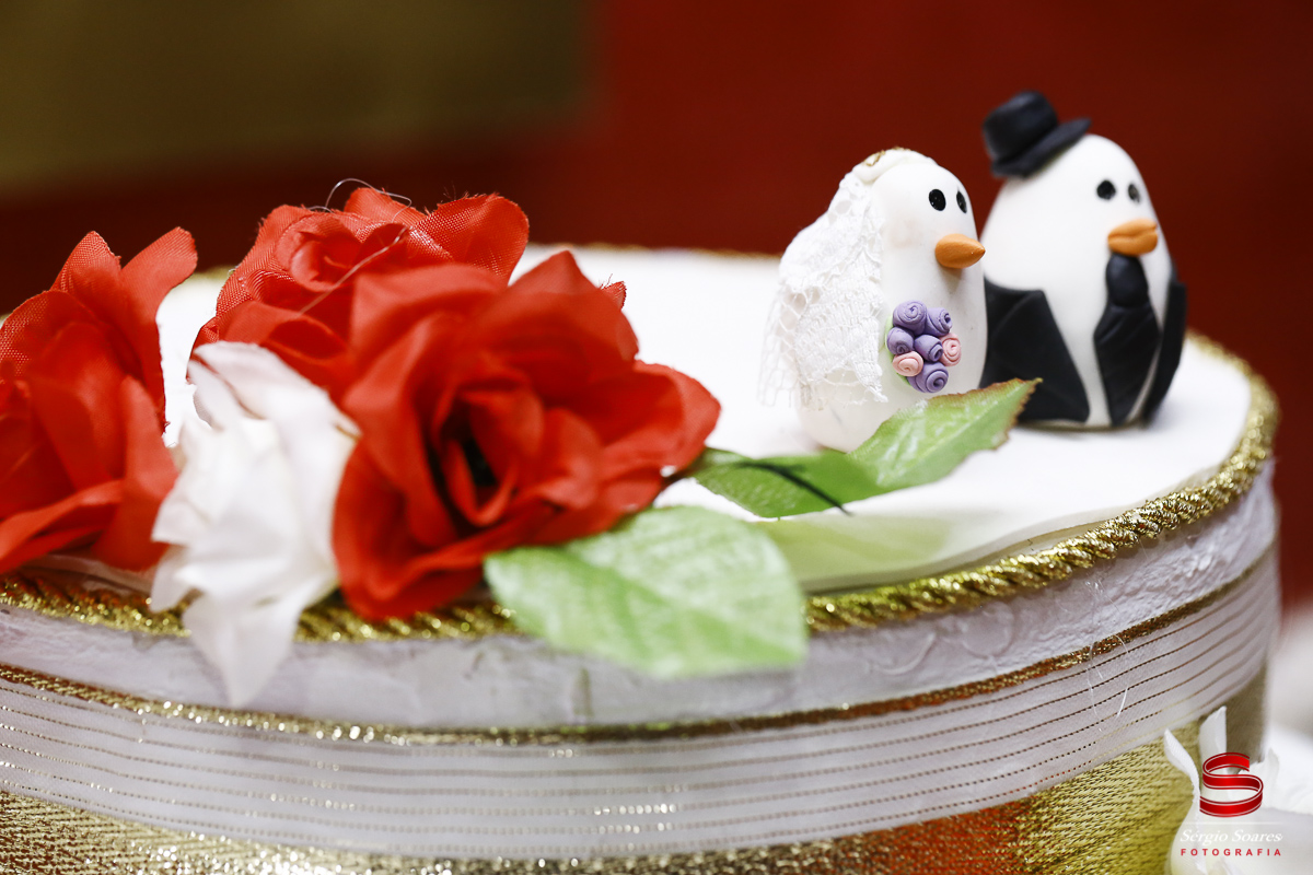 fotografo-fotografia-fotos-cuiaba-mt-mato-grosso-brasil-casamento-civil-hedilayne-jhonata