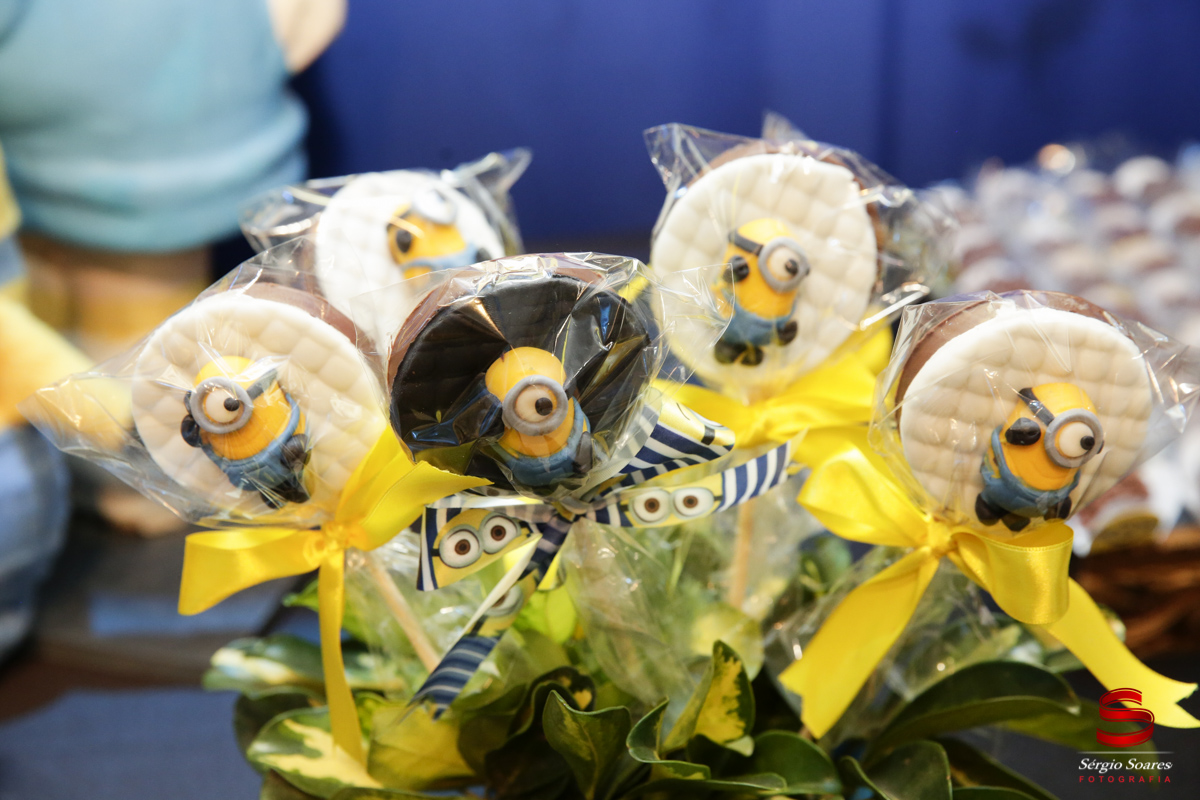 fotografo-fotografia-fotos-sergio-soares-aniversario-aniver-silvio-neto-minions