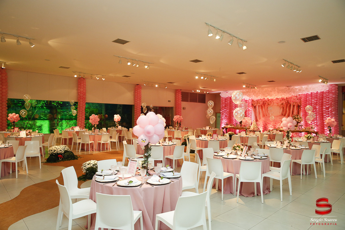 fotografo-fotografia-fotos-cuiaba-mt-mato-grosso-brasil-aniversario-infantil-helena