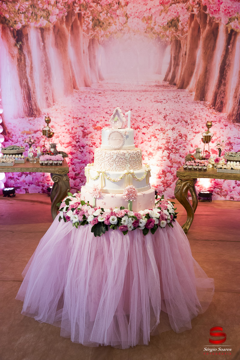 fotografo-fotografia-fotos-cuiaba-mt-mato-grosso-brasil-aniversario-infantil-helena