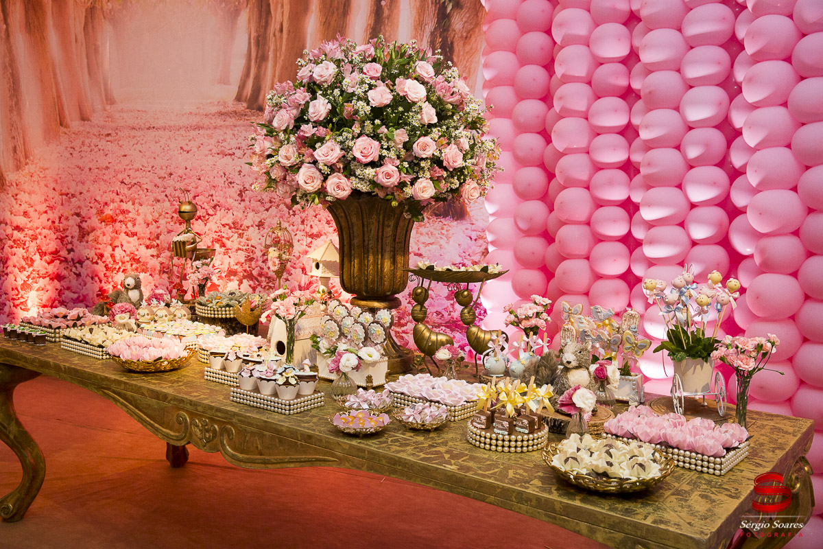 fotografo-fotografia-fotos-cuiaba-mt-mato-grosso-brasil-aniversario-infantil-helena