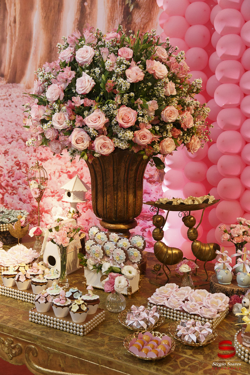 fotografo-fotografia-fotos-cuiaba-mt-mato-grosso-brasil-aniversario-infantil-helena