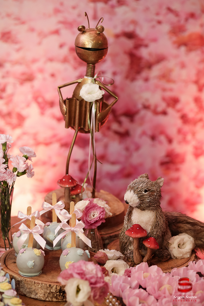 fotografo-fotografia-fotos-cuiaba-mt-mato-grosso-brasil-aniversario-infantil-helena