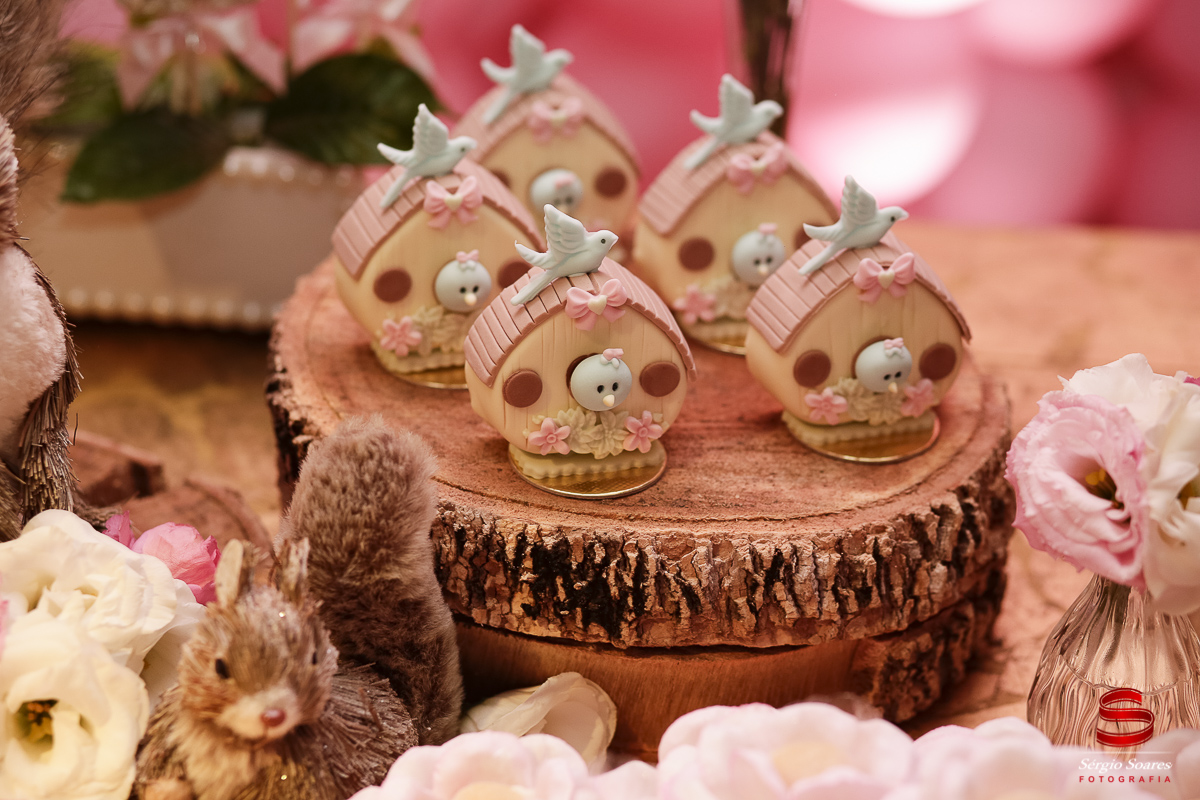 fotografo-fotografia-fotos-cuiaba-mt-mato-grosso-brasil-aniversario-infantil-helena