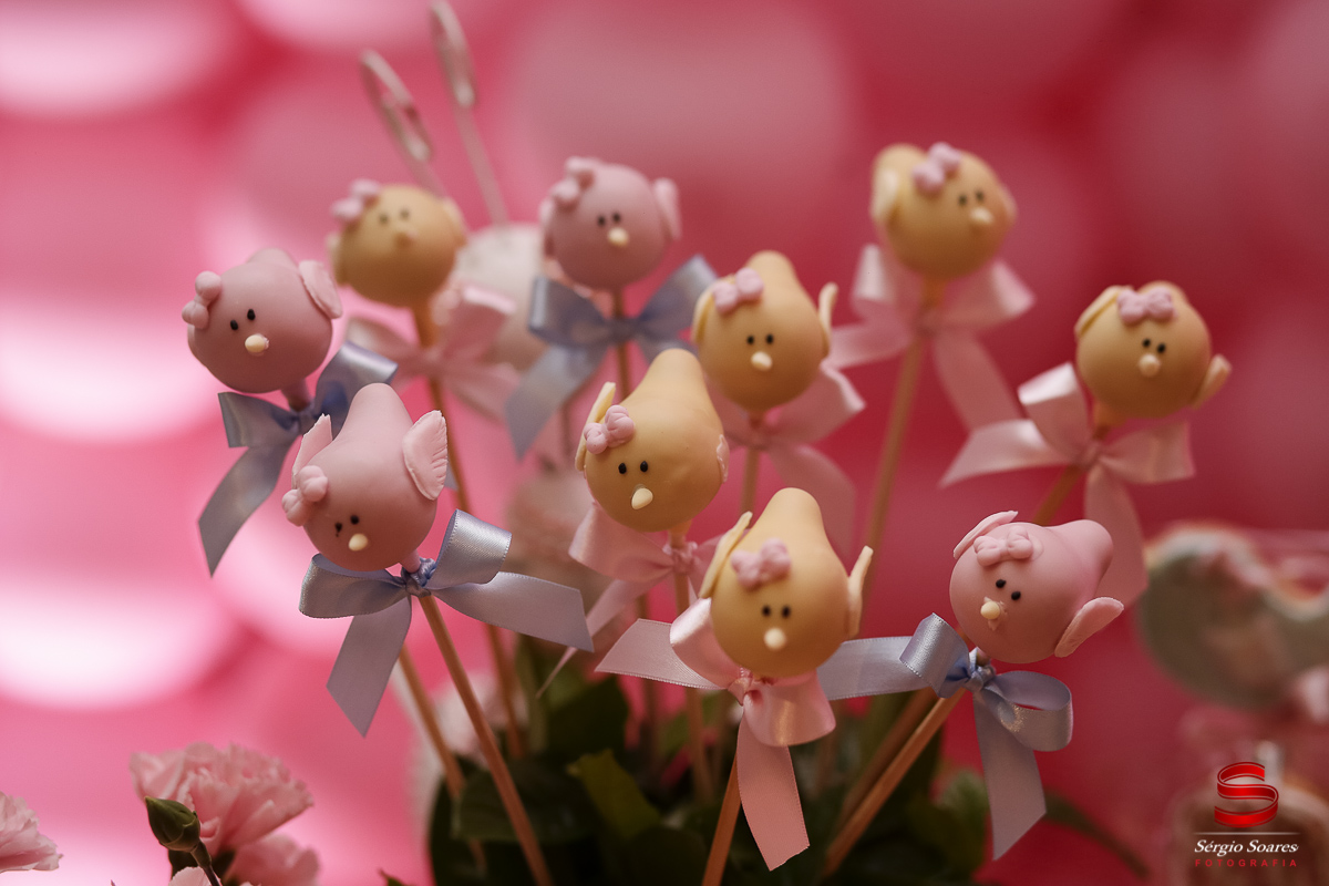 fotografo-fotografia-fotos-cuiaba-mt-mato-grosso-brasil-aniversario-infantil-helena