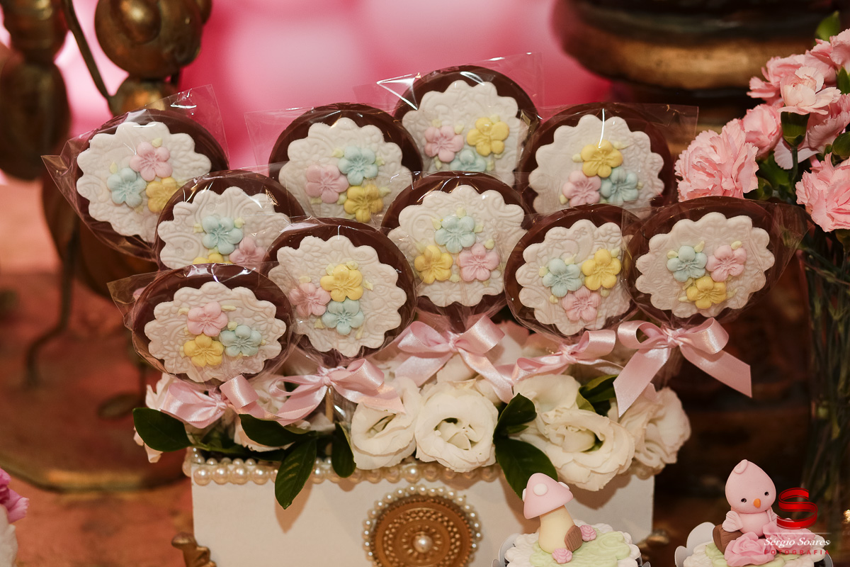 fotografo-fotografia-fotos-cuiaba-mt-mato-grosso-brasil-aniversario-infantil-helena