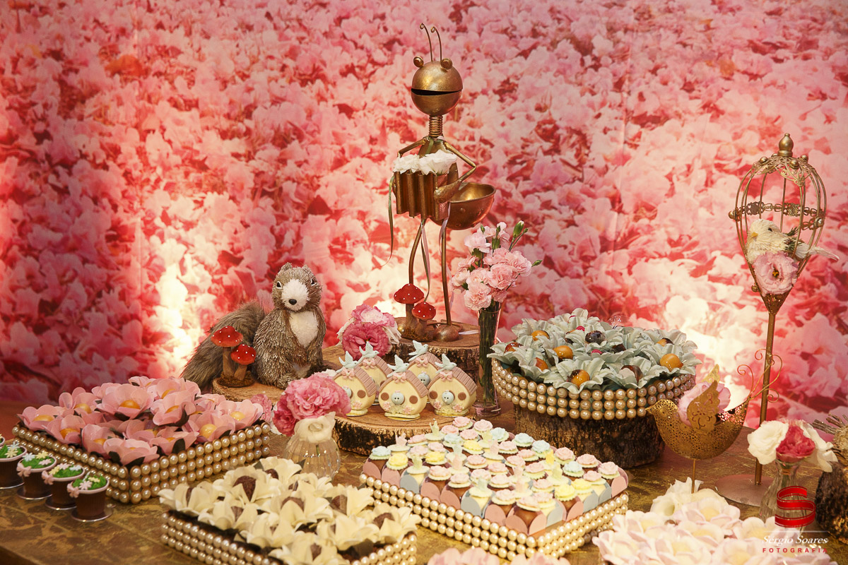 fotografo-fotografia-fotos-cuiaba-mt-mato-grosso-brasil-aniversario-infantil-helena