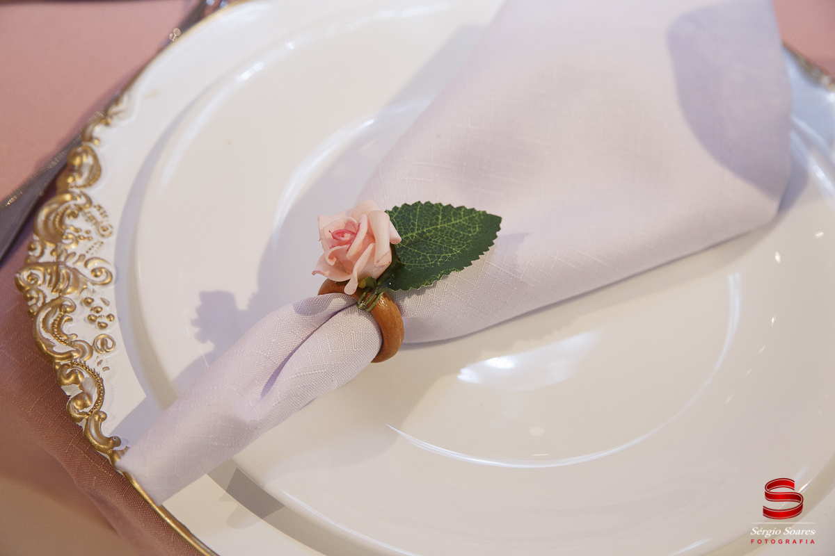 fotografo-fotografia-fotos-cuiaba-mt-mato-grosso-brasil-aniversario-infantil-helena