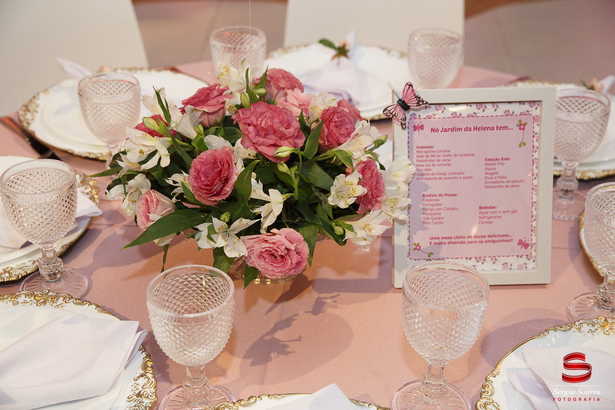 fotografo-fotografia-fotos-cuiaba-mt-mato-grosso-brasil-aniversario-infantil-helena