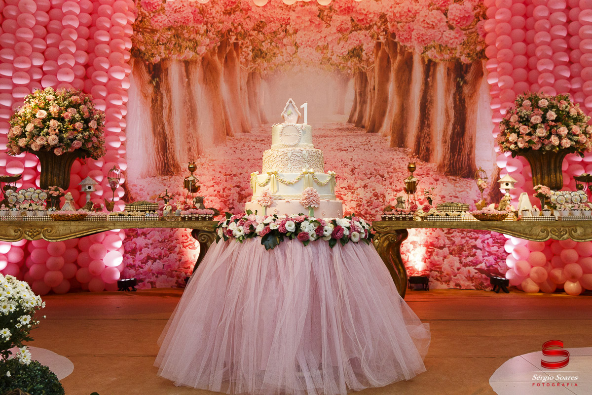 fotografo-fotografia-fotos-cuiaba-mt-mato-grosso-brasil-aniversario-infantil-helena