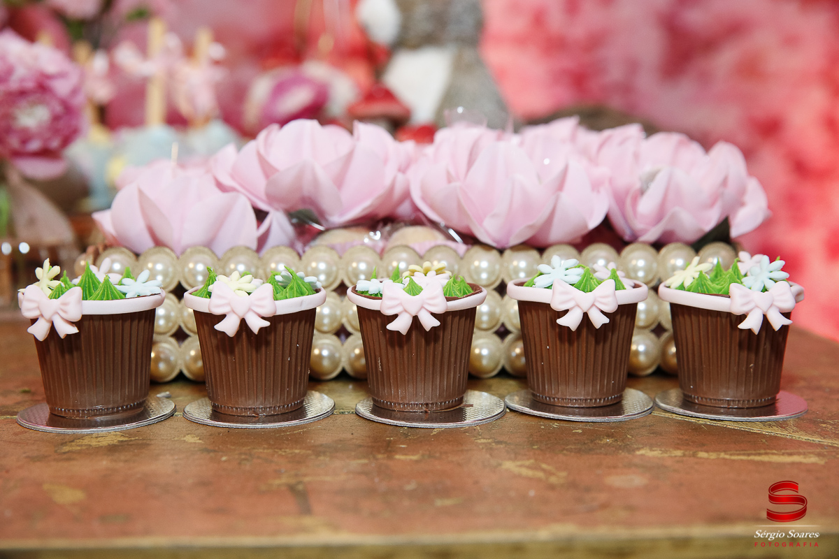 fotografo-fotografia-fotos-cuiaba-mt-mato-grosso-brasil-aniversario-infantil-helena