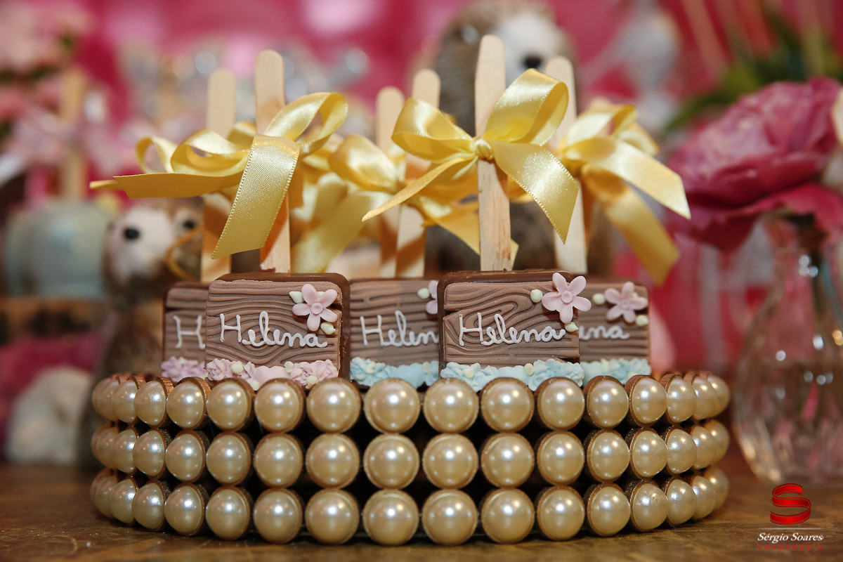 fotografo-fotografia-fotos-cuiaba-mt-mato-grosso-brasil-aniversario-infantil-helena