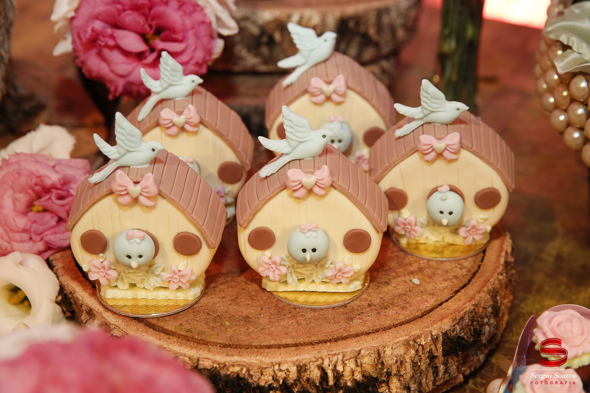 fotografo-fotografia-fotos-cuiaba-mt-mato-grosso-brasil-aniversario-infantil-helena