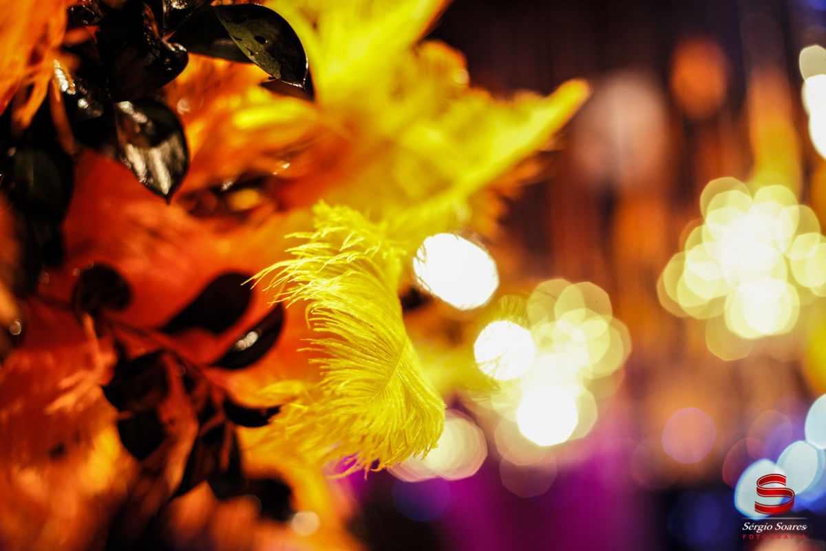 fotografia-fotografo-fotos-cuiaba-mt-sergio-soares-aniver-aniversario-15-anos-debutante-carol-las-vegas